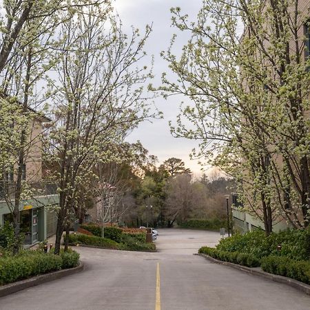 Leisure Inn Spires Leura Εξωτερικό φωτογραφία
